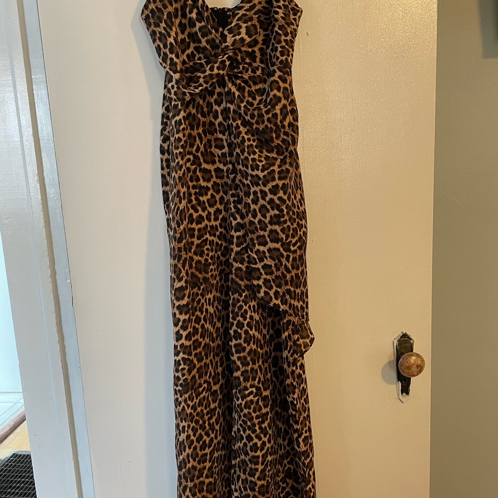 Zara Leopard Print Wide Leg Jumpsuit
